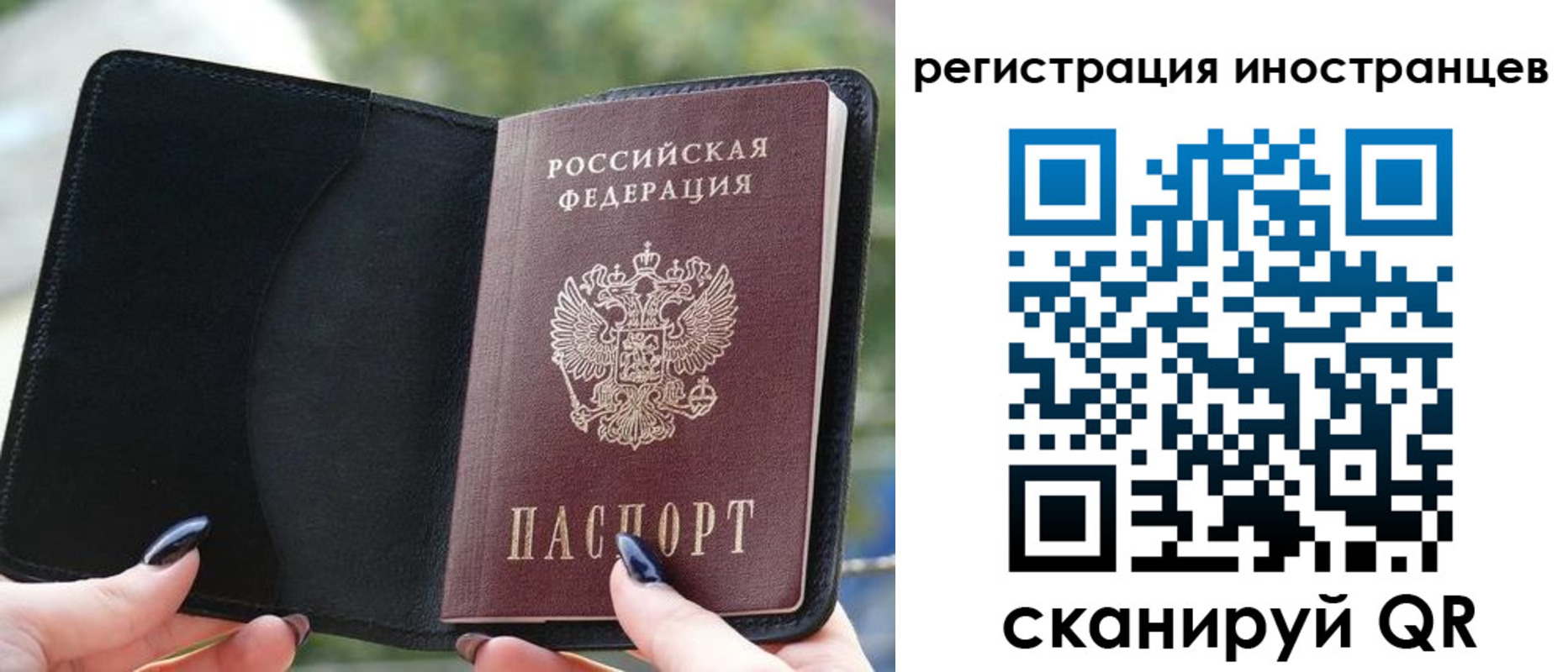 найти адрес прописки в Белёве